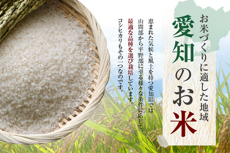知多米 こしひかり5kg お米 白米 うるち米 おこめ 国産 精米 ご飯 おにぎり 朝ごはん ライス 和食 日本食 主食 食卓 お弁当 コシヒカリ 甘み 粘り 知多半島 お取り寄せ 5キロ 愛知県 知