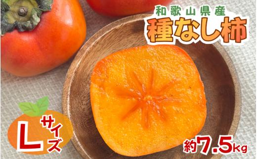 採れたてタネなし柿“Lサイズ” 約7.5kg【2026年10月中旬～10月下旬頃発送予定】【ART17】