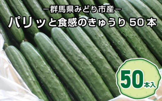 パリッと食感のきゅうり50本