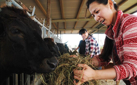 沖縄県産和牛【KINJO BEEF】手ごねハンバーグステーキ（200g×1P）