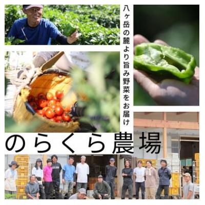 ふるさと納税 佐久穂町 【単発】信州北八ヶ岳からお届け〜のらくら農場の旨み野菜セット〜9種類前後(Mサイズ2〜3人分) |  | 03