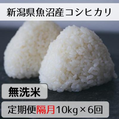 ふるさと納税 十日町市 【2ヵ月毎定期便】新潟県魚沼産コシヒカリ「山清水米」無洗米10kg全6回