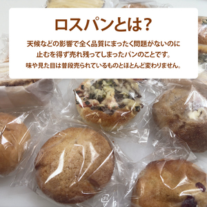 【訳あり】ロスパン詰め合わせ（20個）（ LV-2）