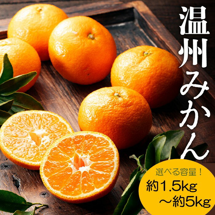 【ふるさと納税】温州みかん（1.5kg～5kg程度）／2026年11月〜2027年1月配送（選べる容量） 産地直送 ミカン