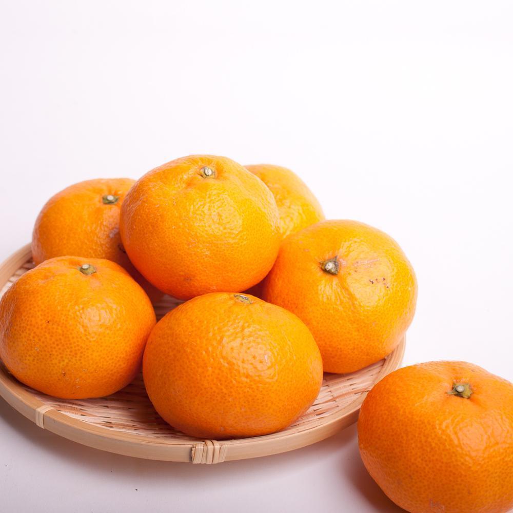 家庭用 大きな有田みかん2.5kg+250g（傷み補償分）［2025年11月中旬から2026年1月下旬頃順次発送予定］［IKE222］