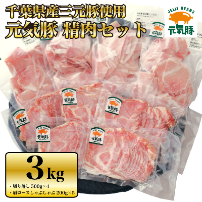 
＜農場直送＞千葉県産三元豚　元気豚 精肉セット 3kg【1030404】
