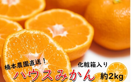 1985R_【7月中旬から発送予定】楠本農園直送！こだわりハウスみかん 約2kg ※化粧箱入り