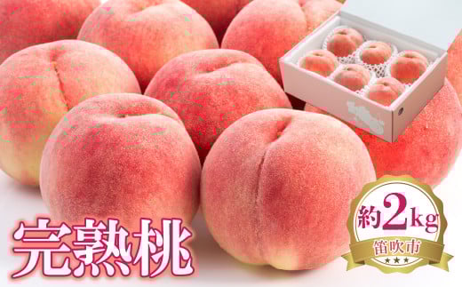 【2026年発送★先行予約】完熟桃　約2kg 222-001-26y