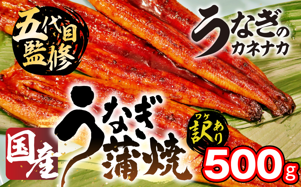 訳あり 国産 うなぎ 500g 蒲焼 うなぎ 愛知県