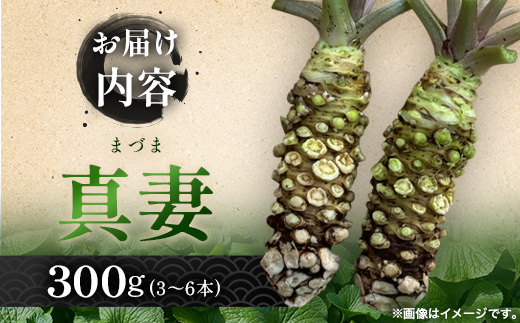 那賀わさび (真妻) 約300g 3～6本【徳島県 那賀町 生産者直送 産地直送 本わさび わさび ワサビ 生わさび 山葵 野菜 香味野菜 国産 真妻 薬味 調味料 万能 新鮮】FN-08