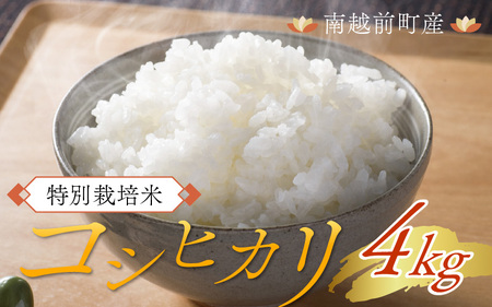 【先行予約】令和7年度産 新米 特別栽培米 コシヒカリ 4kg【11月上旬より順次発送】