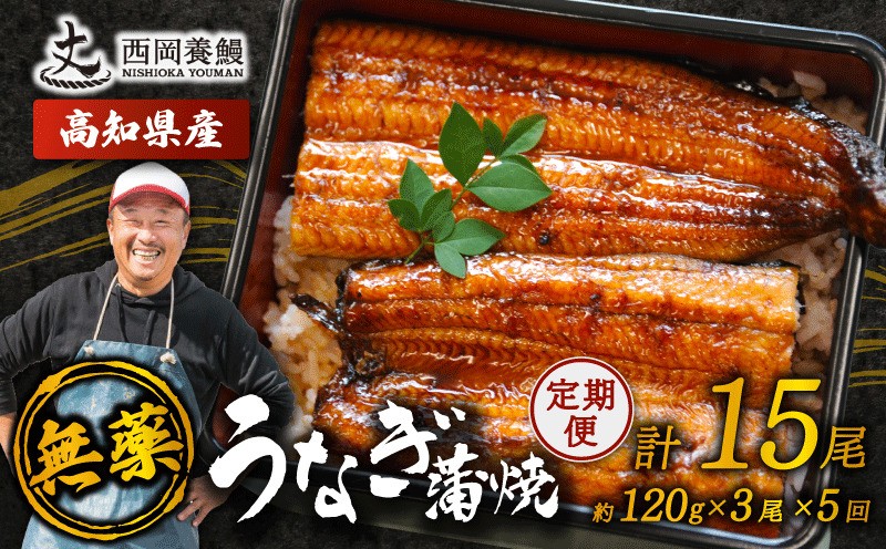 
                  完全無投薬 うなぎ蒲焼 定期便 計15尾 ( 120g × 3尾 × 5回 ) 国産 鰻 厳選 無薬 うなぎ 蒲焼き かば焼き 人気 特製タレ 鰻蒲焼き 湯煎 簡単調理 タレ 山椒 セット 旨味 風味 うな重 土用の丑の日 夏バテ対策 ギフト 贈り物 贈答 お取り寄せ グルメ 高級 うなぎ料理 こだわり うな丼 ひつまぶし 冷凍 高知県産 ランキング おすすめ 西岡養鰻 安芸市 高知県
                