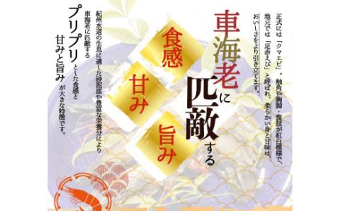 紀州和歌山産天然足赤えび540g（270g×2パック）化粧箱入 ※2024年11月上旬～2025年2月上旬頃順次発送予定（お届け日指定不可）【uot772A】