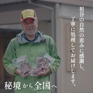 鹿肉モモブロック 1kg ウチ ジビエ 国産 祖谷 地美栄【 ジビエ 】