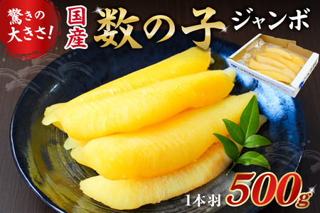  国産　塩数の子ジャンボ(北海道産） 1本羽 500g mi0012-0069 海鮮 魚卵 魚介 おせち 正月 ﾆｼﾝ ｶｽﾞﾉｺ