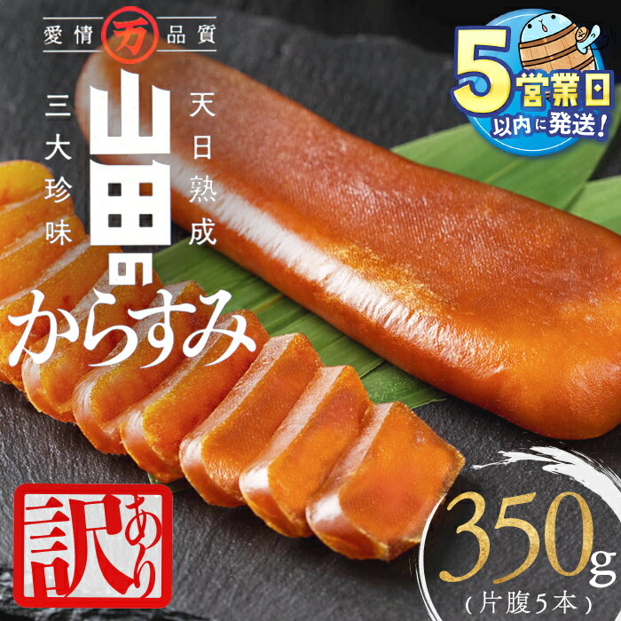 【ふるさと納税】【訳あり】国産からすみ 片腹5本（350g以上）カラスミ 唐墨 おつまみ 魚卵 珍味 冷凍 小分け 鹿児島県 垂水市【山田水産】B2-1801