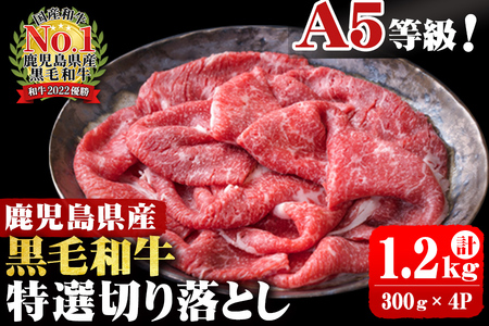 4等級以上 鹿児島県産 黒毛和牛特選切り落とし 計1,200g (300g×4P) b0-163-D