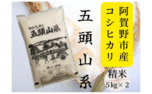 【令和7年産】【新潟産コシヒカリ】10kg「五頭山系」 米屋のこだわり阿賀野市産 米屋かたぎり 新潟県 米 こめ コメ 白米 精米 1E02021
