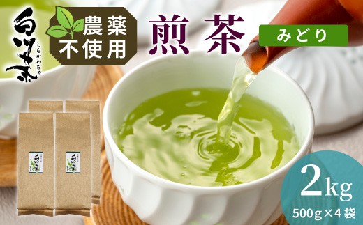 
                  農薬不使用！煎茶 みどり 2kg (500g×4袋) 常磐園 白川茶 美濃白川茶 日本茶 緑茶 煎茶 茶葉 お茶 一番茶 春摘み リーフ 国産 お試し 大容量 岐阜県 東白川村
                