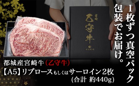 数量限定！【宮崎牛A5】ロースステーキ 計約440g(2枚) (乙守牛)_24-6501_(都城市) 都城産宮崎牛 乙守牛 A5 リブロースもしくはサーロイン 2枚 約440g 真空パック ギフト 贈