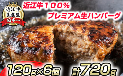 
近江牛１００％　プレミアム生ハンバーグ　720g（約120g×6個）【FO18U】
