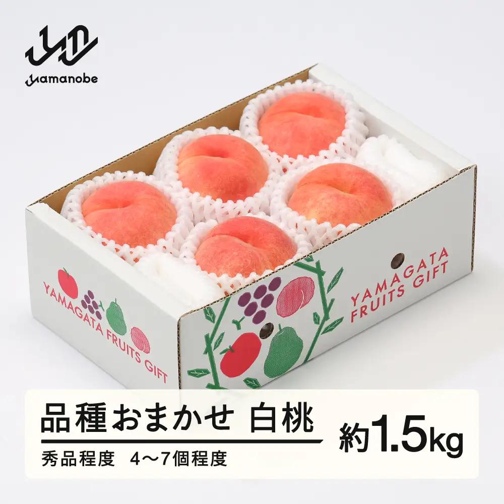 もも 桃 品種おまかせ 白桃 秀品程度 約1.5kg(4~7個程度) 2026年 山形県産 tf-moyws1500-b