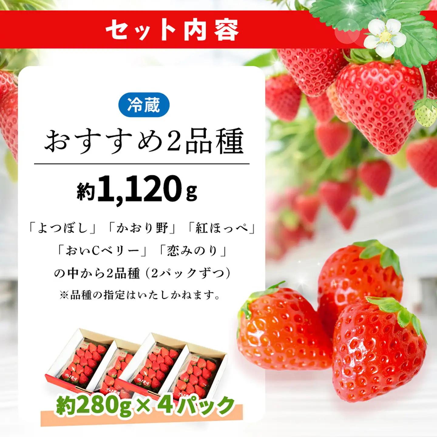 【2027年2月発送】【先行予約】【農場直送！】いちご2品種食べ比べ(約280g×4P) K100088