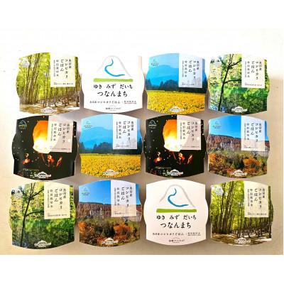 ふるさと納税 津南町 魚沼・津南産コシヒカリのパックごはん　苗場プリンセス米(12パック)