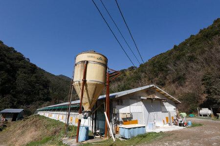 鶏肉 小分け 宮崎県産 ブランド鶏 夢創鶏 もも むね 切身 セット 200g 5p 2種 計2kg