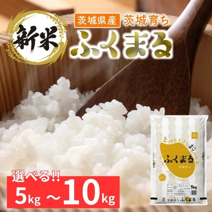 【ふるさと納税】【令和7年産】茨城県産 ふくまる 精米 選べる容量 5～10kg【石崎商店】