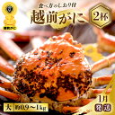 【ふるさと納税】≪浜茹で≫越前がに 大サイズ（生で約0.9〜1kg） × 2杯 約4人前 満足の食べ応え 食べ方しおり付き【雄 ズワイガニ 越前ガニ 姿 ボイル 冷蔵 かに カニ 蟹 福井県】【1月発送分】希望日指定可 備考欄に希望日をご記入ください [e57-x002_01]