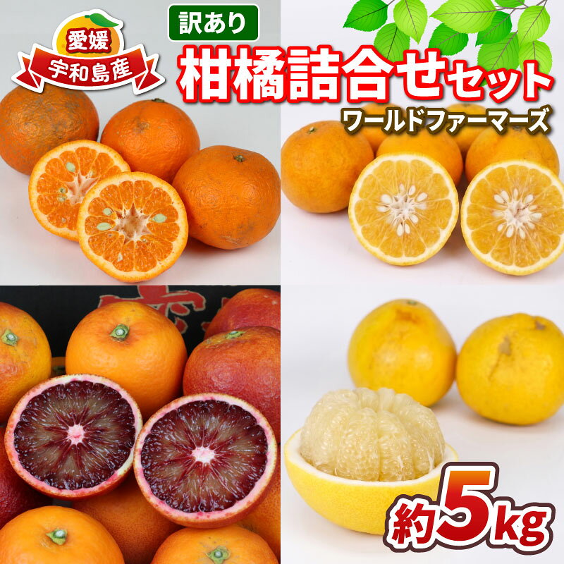 【ふるさと納税】 愛媛みかん 訳あり 柑橘 詰め合わせ セット 5kg ワールドファーマーズ わけあり 先行予約 愛媛蜜柑 愛媛ミカン みかん訳アリ 訳あり品 訳有り mikan 果物 くだもの フルーツ 柑橘 蜜柑 産地直送 数量限定 愛媛 国産 宇和島 B010-024028
