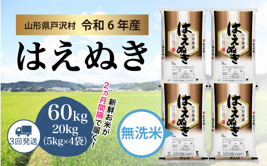 ＜令和6年産米受付　配送時期指定可＞　はえぬき【無洗米】60kg定期便(20kg×3回)　戸沢村