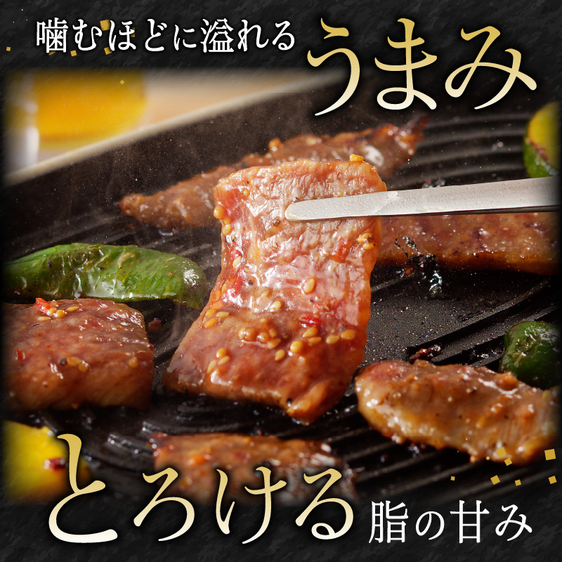 宮崎牛タレ漬け焼肉用900g N061-YB336