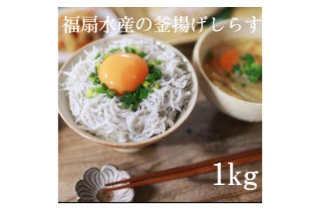 釜揚げしらす1kg【福扇水産】(B480-1)