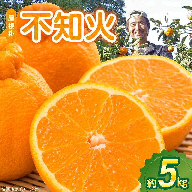 【ふるさと納税】【先行受付】 屋根掛 デコポン 不知火 約 5kg 国産 みかん ハウスみかん フルーツ 果物 柑橘 デザート スイーツ お取り寄せフルーツ 食べ物 食品 常温 熊本県 天草市 お取り寄せ 送料無料