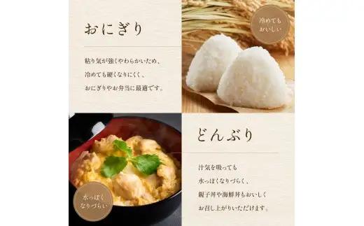 【6ヵ月定期便】R8年産米 ゆめぴりか 10kg 白米 北海道 留萌産
