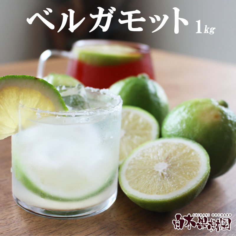 【ふるさと納税】＜果樹園直送＞ 白木果樹園産 ベルガモット 約1kg 1キロ 5~8個入り 果物 くだもの 果実 柑橘類 柑橘 爽やか フレッシュ 新鮮 デトックスウォーター 紅茶 料理 お取り寄せ 国産 常温 配送 故郷納税 ふるさとのうぜい 返礼品 高知県 土佐市