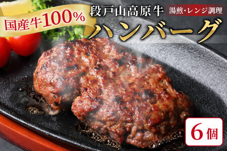 国産 牛肉 100%使用！ ハンバーグ レンジ可 湯煎 加熱済 6個 個包装 100ｇ 国産牛 牛 着色料 保存料 化学調味料 不使用 牛肉ハンバーグ 肉 肉汁 -095