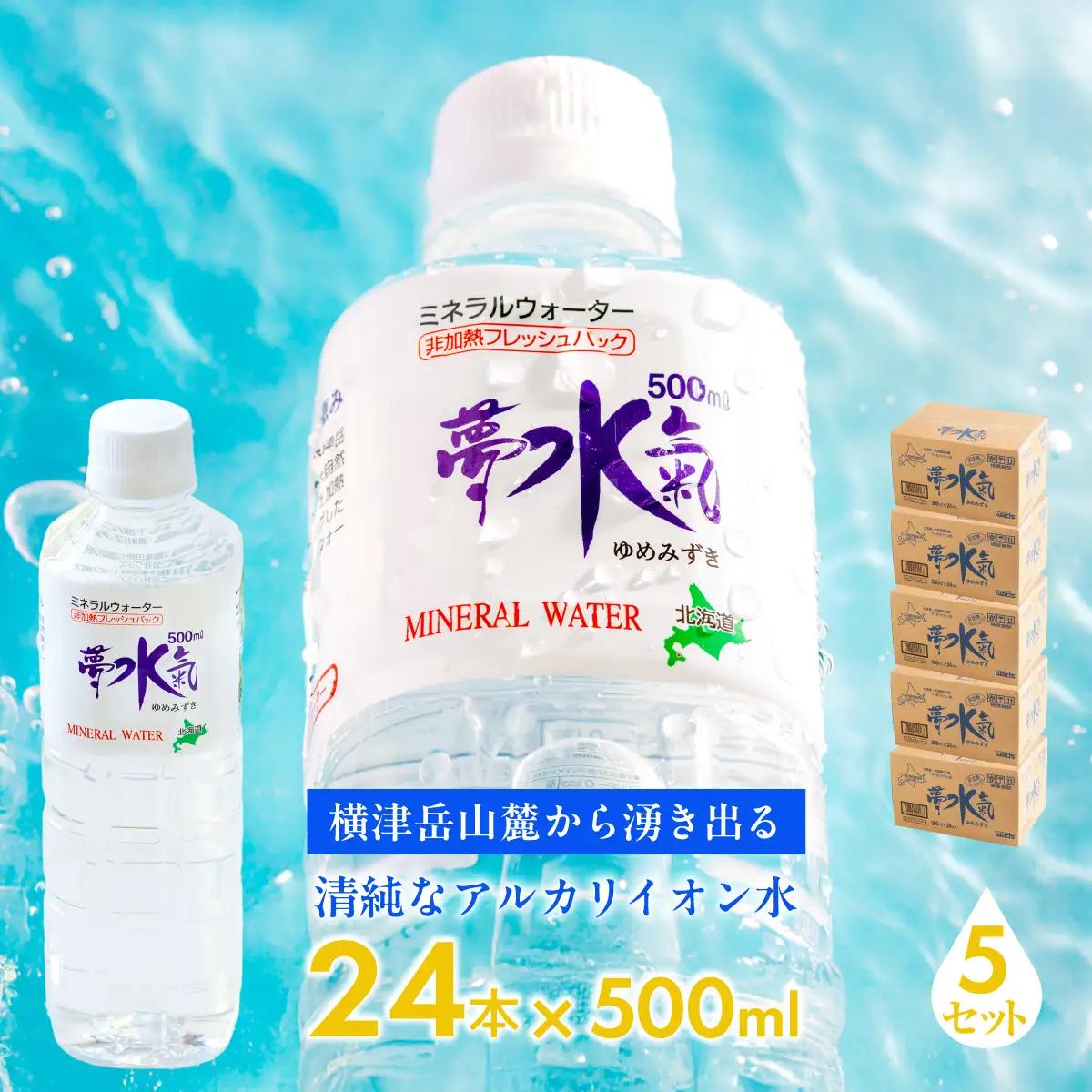ミネラルウォーター夢水氣（500ml×24本）5セット 天然アルカリイオン水 NABI011