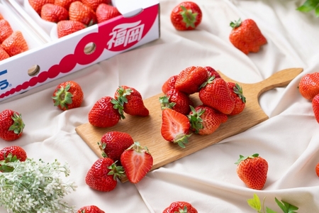 福岡産【冬】あまおうDX(デラックス)2パック【南国フルーツ株式会社】_HA1911