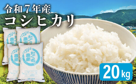 【令和7年産 】こしひかり 20kg 滋賀 彦根