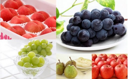 08-08-045　天童特選秋のフルーツめぐり(定期便)全5回