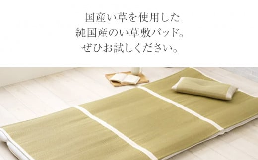 ミラクルい草敷パッド（135×195） おすすめ 福岡県 大木町 AA360