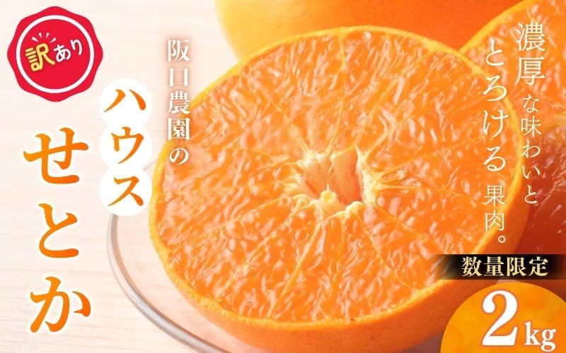 
                  【先行予約】【訳あり】サイズ混合 2kg 阪口農園の ハウスせとか（マルチ栽培）【2027年2月中旬から3月中旬に順次発送予定】 わけあり せとか ハウス 温室 みかん ミカン 蜜柑 柑橘 フルーツ 果物 くだもの 旬 産地直送 農家直送【msa010】
                