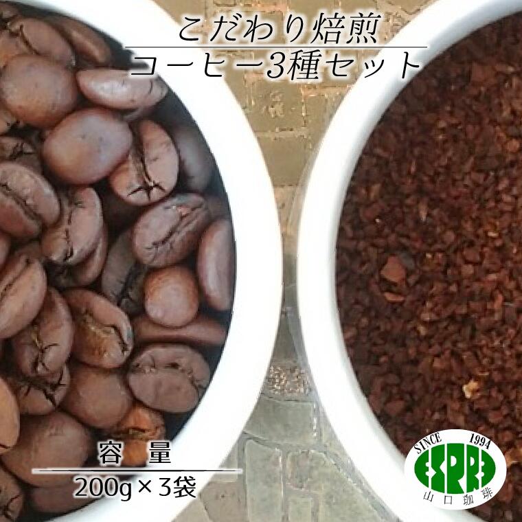 【ふるさと納税】【エスプレ山口珈琲】豆か粉か選べる！こだわり焙煎コーヒー 3種セット