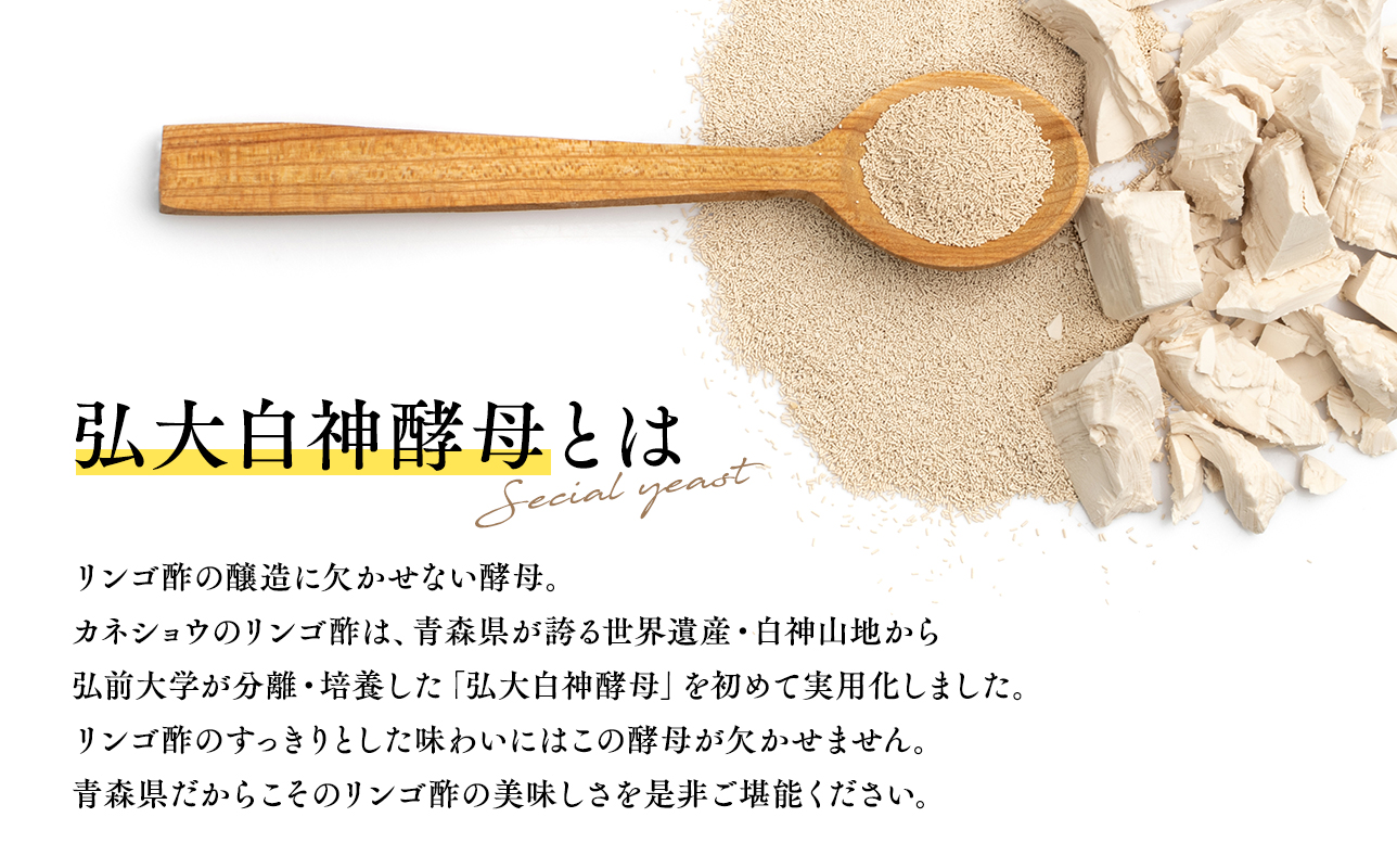 【10/1～掲載終了予定につき寄附金額を見直しました】ハチミツ入りリンゴ酢 500ml×2本 