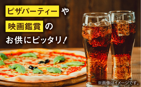 【全6回定期便】コカ・コーラゼロ 計144本（500ml×24本×6回） / 炭酸飲料 コーク / 佐賀県 / コカ・コーラボトラーズジャパン株式会社[41AFAO030]