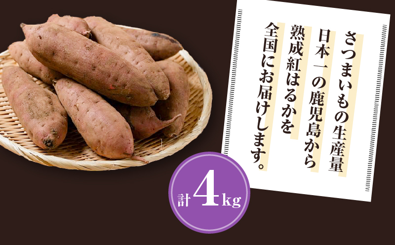 【2025年先行予約】畑の金貨　生芋　紅はるか4kg　K181-006