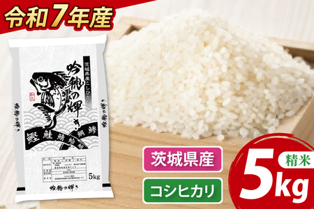 【期間限定・特別寄附額】 ＜令和７年産＞ 新米 コシヒカリ 5kg 精米 こしひかり 米 ごはん コメ お米 白米 国産 茨城県産_AR010